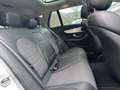 Mercedes-Benz C 180 Estate Edition 1 CLIMA / CRUISE / PANO / LANE ASSI Grau - thumbnail 14