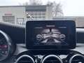 Mercedes-Benz C 180 Estate Edition 1 CLIMA / CRUISE / PANO / LANE ASSI Grau - thumbnail 28