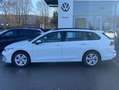 Volkswagen Golf Variant 1.0 TSI Life NAVI+LED+APP-CONNECT+A Weiß - thumbnail 2