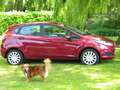 Ford Fiesta Fiesta 1.25i Ambiente Rojo - thumbnail 3