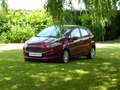Ford Fiesta Fiesta 1.25i Ambiente Rojo - thumbnail 18
