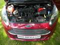 Ford Fiesta Fiesta 1.25i Ambiente Rojo - thumbnail 16