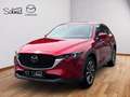 Mazda CX-5 CD184 AWD Revolution Top/SD Aut. Rot - thumbnail 3