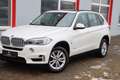 BMW X5 xDrive 40 e | Panoramadach | R.Kamera | Weiß - thumbnail 17