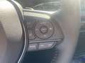 Toyota RAV 4 Wit - thumbnail 24