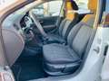 Volkswagen Polo Polo 1.4 TDI 5p. Business Bianco - thumbnail 3