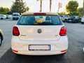 Volkswagen Polo Polo 1.4 TDI 5p. Business Bianco - thumbnail 13