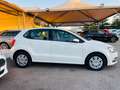 Volkswagen Polo Polo 1.4 TDI 5p. Business Bianco - thumbnail 15
