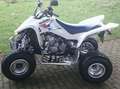 Suzuki LT-Z 400 Weiß - thumbnail 9
