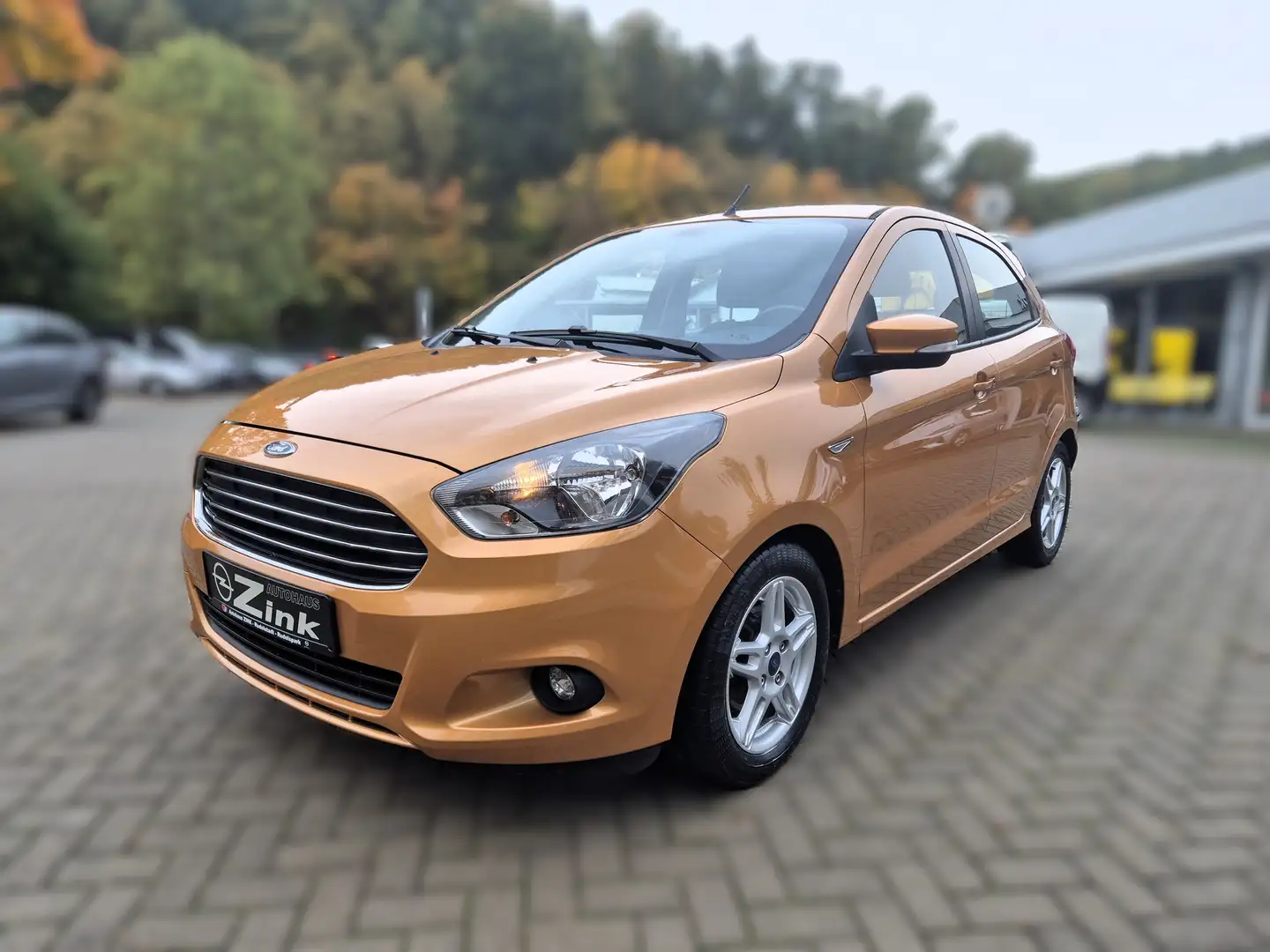 Ford Ka/Ka+ Cool SHZ PDC 1. Hand Braun - 2