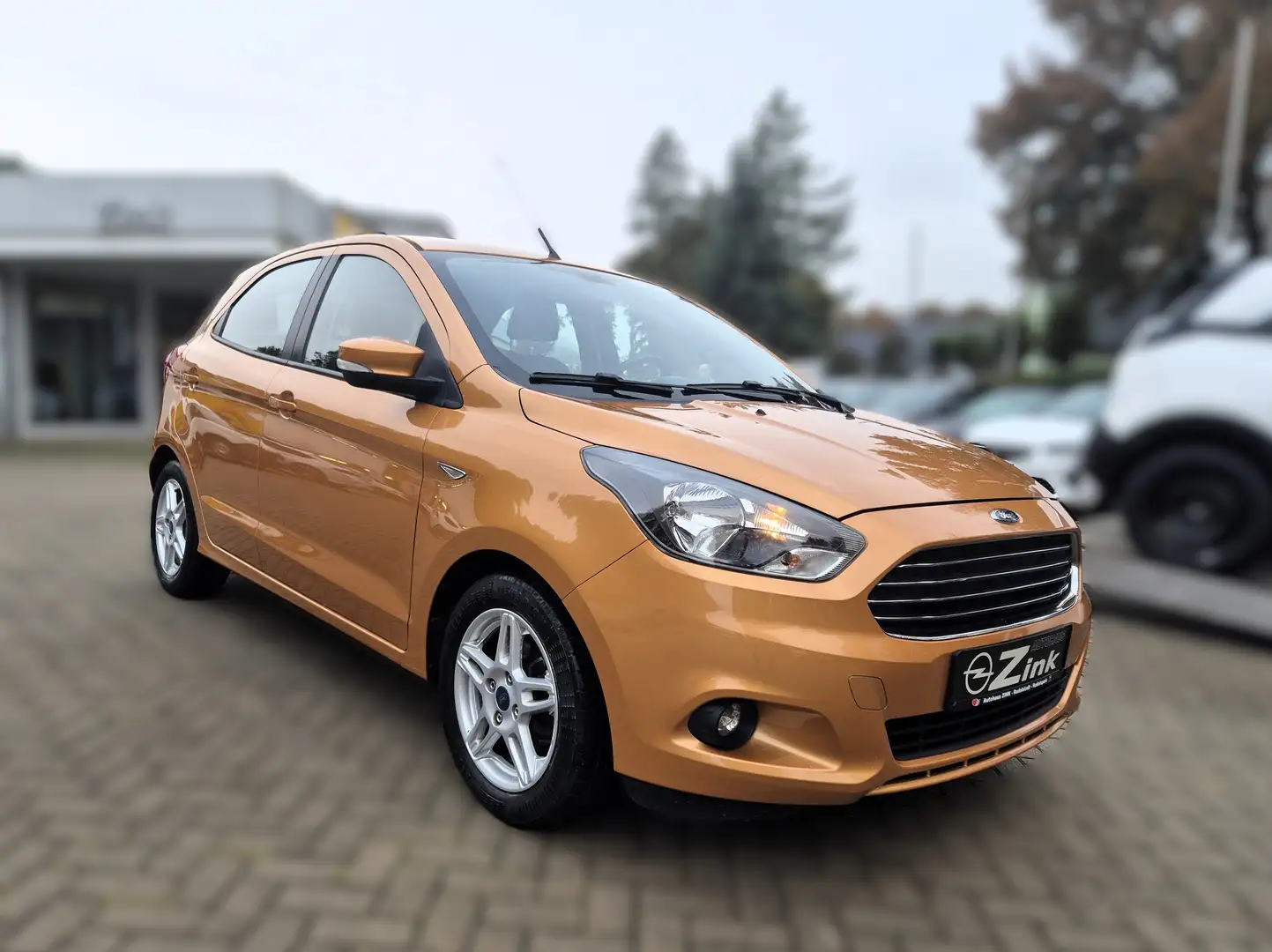 Ford Ka/Ka+ Cool SHZ PDC 1. Hand Braun - 1