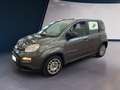 Fiat Panda III 2021 1.0 firefly hybrid s&s 70cv 5p.ti - thumbnail 2