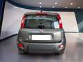 Fiat Panda III 2021 1.0 firefly hybrid s&s 70cv 5p.ti - thumbnail 5