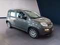 Fiat Panda III 2021 1.0 firefly hybrid s&s 70cv 5p.ti - thumbnail 3