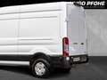 Ford Transit Trend Kasten L3 | AUT | Klimaaut. | GRA | KAMERA | Weiß - thumbnail 12