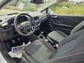 Ford Fiesta 1.5 TDCi 85 CV 3 porte Van Trend Bianco - thumbnail 14