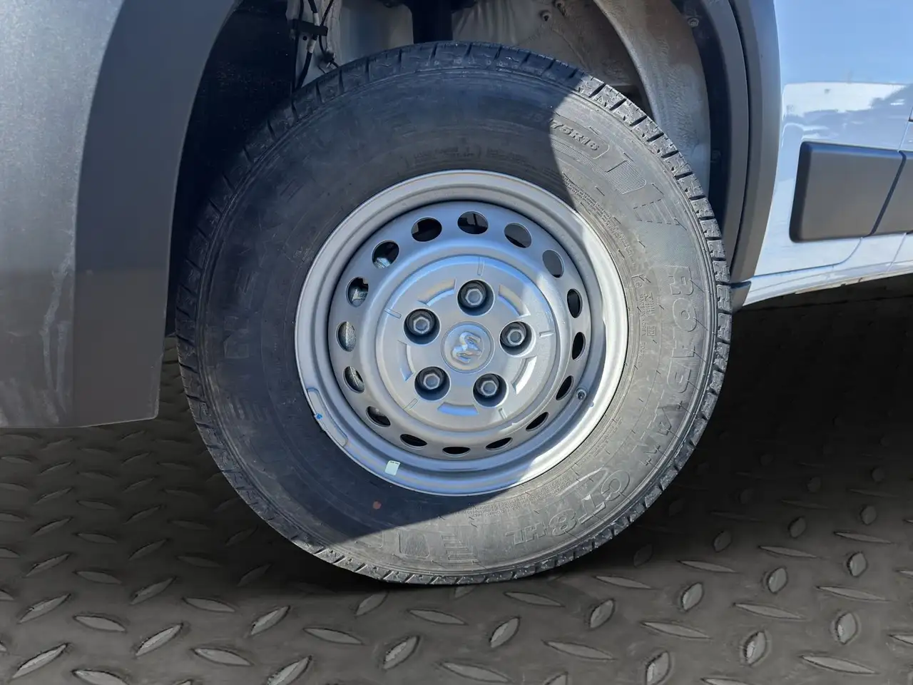 RAM Promaster снимка RAM Promaster