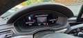 Audi A4 allroad allroad 40 2.0 tdi mhev business evolution quattro Alb - thumbnail 13