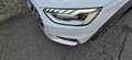 Audi A4 allroad allroad 40 2.0 tdi mhev business evolution quattro Alb - thumbnail 10