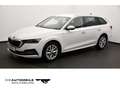 Skoda Octavia 4 IV Combi 2.0 TDI Style HeadUp/Stand/LE Weiß - thumbnail 1