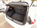 Fiat Tipo 5p 1.0 t3 100cv Blanc - thumbnail 13