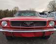 Ford Mustang MK1 289/Oldtimer/Top gepflegt - thumbnail 8