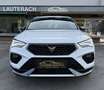 CUPRA Ateca 1,5 TSI DSG *1.BESITZ *25.700KM *19"LM *NAV *AMBIE - thumbnail 2