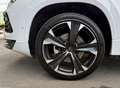 CUPRA Ateca 1,5 TSI DSG *1.BESITZ *25.700KM *19"LM *NAV *AMBIE - thumbnail 10