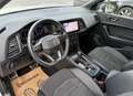 CUPRA Ateca 1,5 TSI DSG *1.BESITZ *25.700KM *19"LM *NAV *AMBIE - thumbnail 14