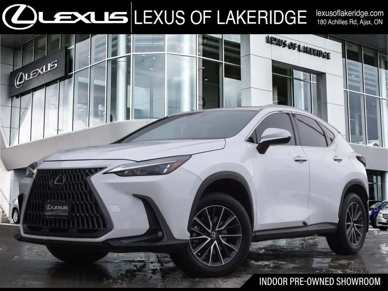 2025 Lexus NX photo 2025 Lexus NX
