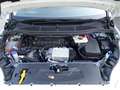 Ford Galaxy 2,0 EcoBlue 140kW Trend /7 Sitze /AHK Biały - thumbnail 19