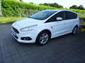 Ford Galaxy 2,0 EcoBlue 140kW Trend /7 Sitze /AHK Biały - thumbnail 1