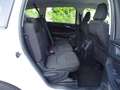 Ford Galaxy 2,0 EcoBlue 140kW Trend /7 Sitze /AHK Biały - thumbnail 14