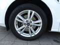 Ford Galaxy 2,0 EcoBlue 140kW Trend /7 Sitze /AHK Biały - thumbnail 18