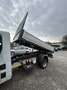 Renault Alaskan ribaltabile trilaterale - thumbnail 11