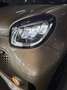 smart forTwo Coupe EQ PRIME EXCLUSIVE ABSOLUT VOLL 22K Gold - thumbnail 24