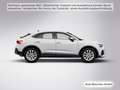 Audi Q3 45 TFSI e S tronic ACC/Navi+/Kamera Weiß - thumbnail 18