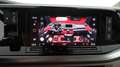 Volkswagen T7 Multivan VW T7 Multivan Edition TDI Grau - thumbnail 14