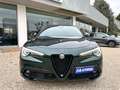 Alfa Romeo Stelvio 2.2 Turbodiesel 210 CV AT8 Q4 Veloce Verde - thumbnail 3