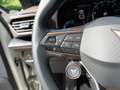 CUPRA Formentor VZ5 Edition Taiga Grey NAVI 360 BEA Gri - thumbnail 14