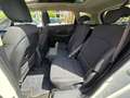 Kia Carens 1.7CRDi Drive 136 Blanco - thumbnail 24