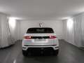 Land Rover Range Rover Evoque P270e S | Auto Stahl Wien 23 Weiß - thumbnail 32