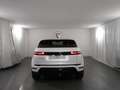 Land Rover Range Rover Evoque P270e S | Auto Stahl Wien 23 Weiß - thumbnail 20
