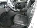 Land Rover Range Rover Evoque P270e S | Auto Stahl Wien 23 Weiß - thumbnail 7