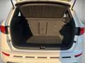 CUPRA Ateca 2.0 TSI 4Drive DSG VZ Weiß - thumbnail 5