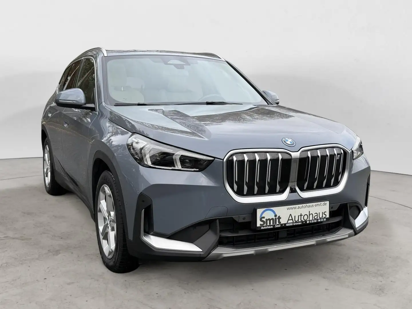 BMW iX1 iX1 xDrive *Pano*H/K*Leder*360°*HuD*Innovation Grau - 1