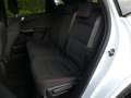 Ford Kuga 2.5 PHEV 225PK ST-Line | STOEL+STUUR+VOORRUITVERWA Wit - thumbnail 30