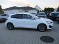 Ford Focus 1,0 Titanium NAVI KAMERA SPURH ACC SITZH Blanc - thumbnail 14