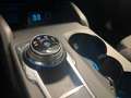 Ford Focus V 1.5 ecoblue Business 120cv auto - thumbnail 14