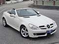 Mercedes-Benz SLK 200 k Chrome 184cv Soli 65 .000km ARTOP Fehér - thumbnail 1